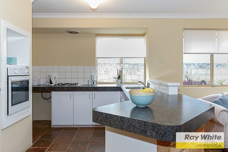 Property photo of 16 Petre Grove Clarkson WA 6030