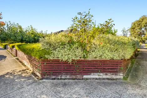 Property photo of 6 Lemon Thyme Way Lynbrook VIC 3975