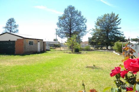 Property photo of 23 Currawang Avenue Leeton NSW 2705