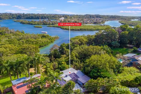 Property photo of 44 Lakeview Parade Tweed Heads South NSW 2486