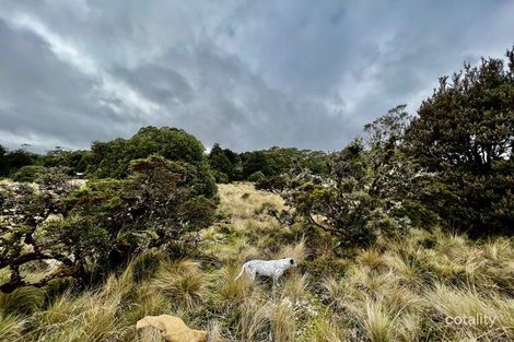 448 Waratah Rd, Waratah, TAS 7321
