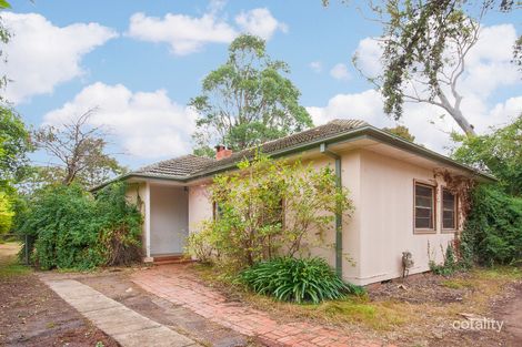 65 David St, O'Connor, ACT 2602
