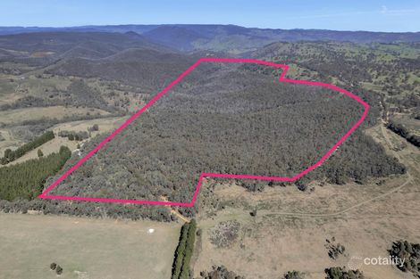 539 Razorback Rd, Running Stream, NSW 2850