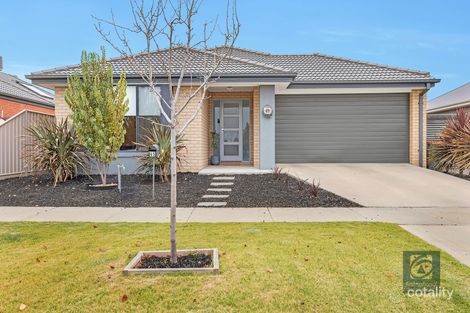 45 Wilkinson Dr, Echuca, VIC 3564