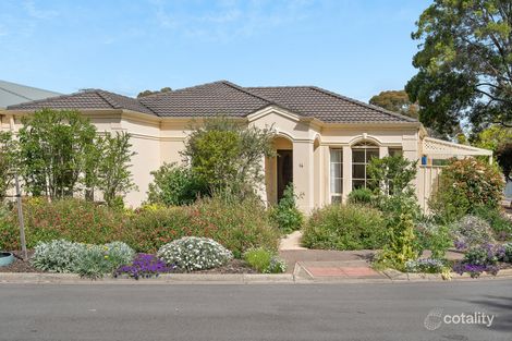 16 Azalea Dr, Lockleys, SA 5032