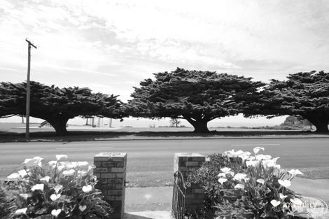 255 Hanlon Pde, Portland, VIC 3305