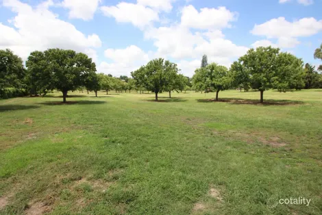 Property photo of 121 Cowper Street Tenterfield NSW 2372