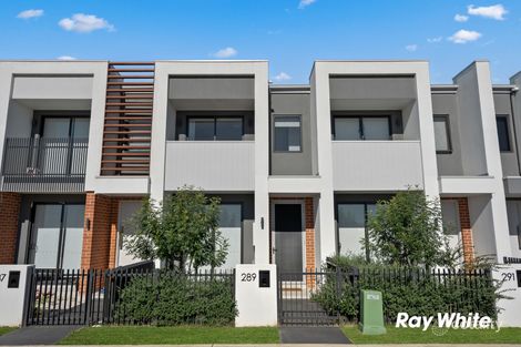 Property photo of 289 Abell Road Melonba NSW 2765