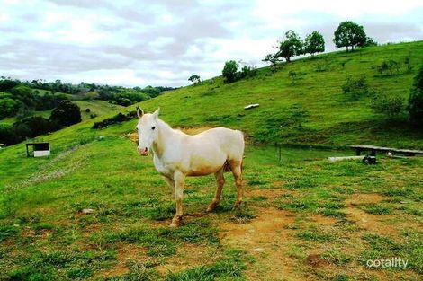Property photo of 274 Cobaki Road Cobaki NSW 2486