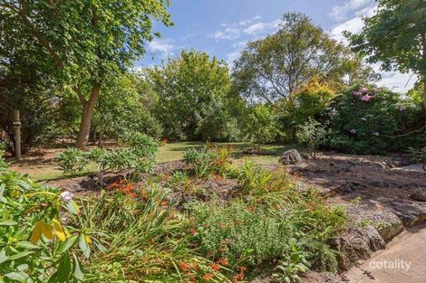 Property photo of 19 Steen Avenue Shoreham VIC 3916