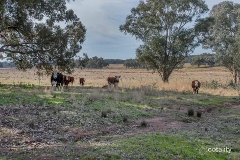 367 Stoney Hill Rd, Cowra, NSW 2794
