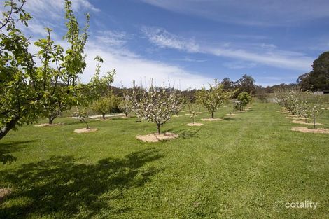 Property photo of 573 Wattle Grove Road Wattle Grove TAS 7109
