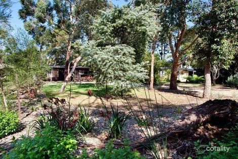 Property photo of 14 Steen Avenue Shoreham VIC 3916