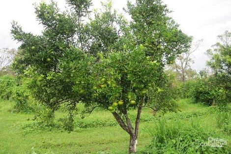 Property photo of 70 King Street Bluewater QLD 4818