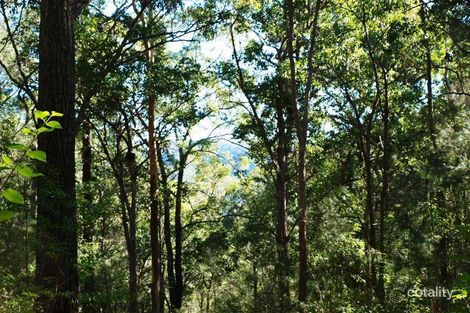 4 Comboyne St, Kendall, NSW 2439