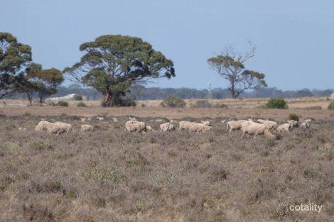 872 Neve Rd, Pingrup, WA 6343