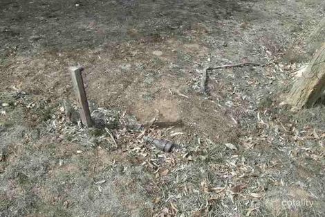 Property photo of 213 Junortoun Road Strathfieldsaye VIC 3551