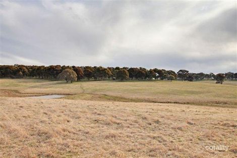 471 Laggan-Taralga Rd, Myrtleville, NSW 2580