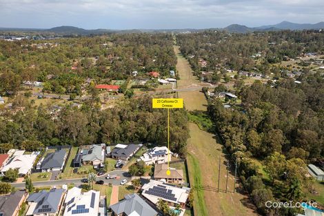 Property photo of 23 Callicoma Court Ormeau QLD 4208