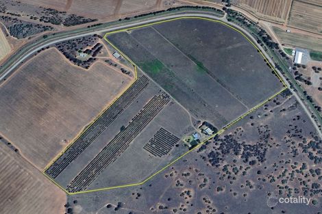 71 Kyola Rd, Coleambally, NSW 2707