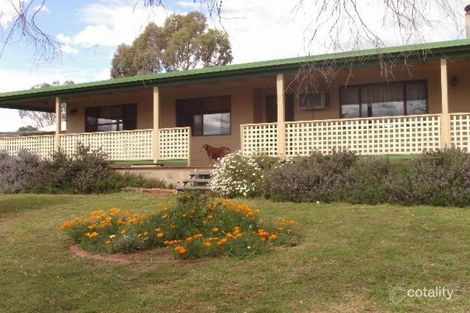 500 Chillingworks Rd, Young, NSW 2594