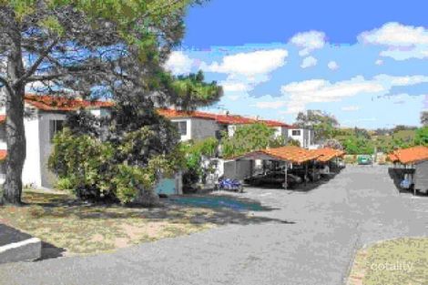 3/66 Hastings St, Scarborough, WA 6019