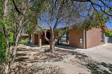 Property photo of 263A Sir Donald Bradman Drive Cowandilla SA 5033
