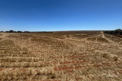 727 Tenindewa Rd N, Tenindewa, WA 6632