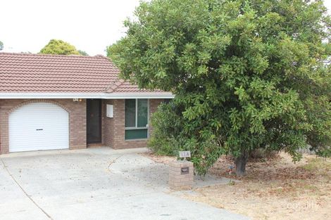 17a Goldsmith Rd, Spearwood, WA 6163