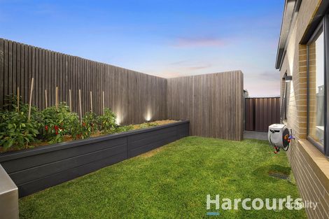 Property photo of 7 Cuttsia Grove Cranbourne North VIC 3977