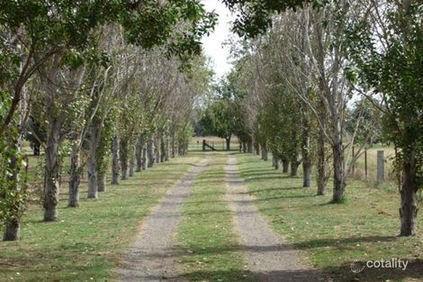 Property photo of 968 Kamilaroi Highway Quirindi NSW 2343