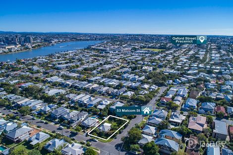 Property photo of 53 Malcolm Street Hawthorne QLD 4171