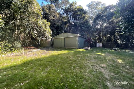 Property photo of 100 Figtree Close Malanda QLD 4885