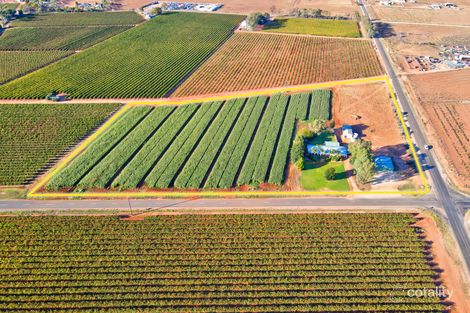 Property photo of 571 Hunt Road Loveday SA 5345