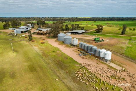 696 Ardlethan Rd, Coolamon, NSW 2701