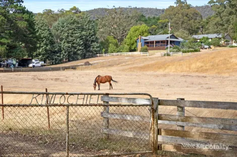 320 Moores Rd, Flowerdale, VIC 3717