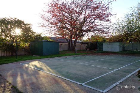 Property photo of 19 Harrison Street Balcatta WA 6021