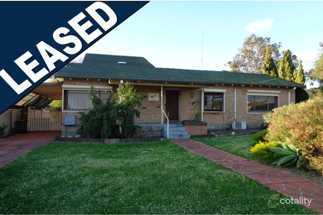 19 Harrison St, Balcatta, WA 6021