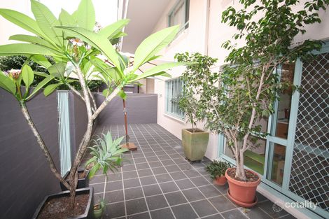 6/155 Missenden Rd, Newtown, NSW 2042