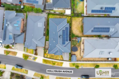 Property photo of 4 Hollybush Avenue Clyde VIC 3978