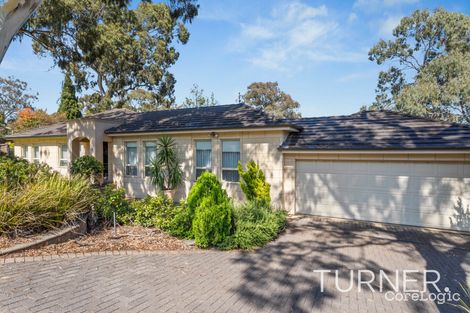 Property photo of 11 Mingara Avenue Stonyfell SA 5066