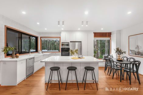Property photo of 20 Cherrys Lane Toolangi VIC 3777
