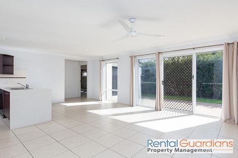 Property photo of 11 Conlan Street Nudgee QLD 4014