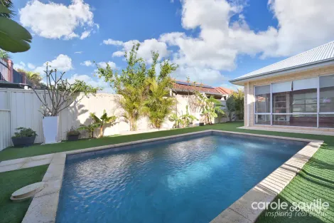 37 Carbine Loop, Banksia Grove, WA 6031