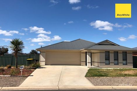 Property photo of 45 Pfitzner Close Murray Bridge SA 5253