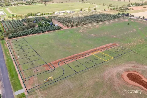8 Wagtail St, Narromine, NSW 2821