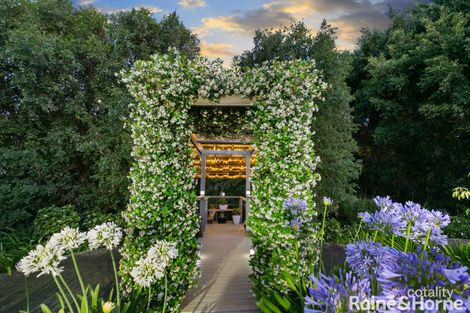 Property photo of 18 Southeden Court Cooroy QLD 4563