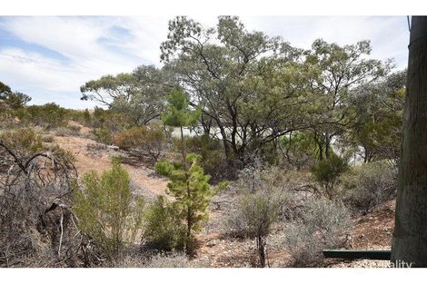 Property photo of 27 Herrmanns Landing Nildottie SA 5238