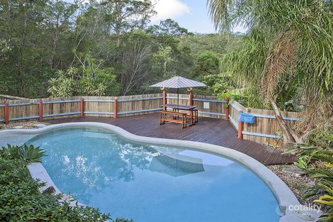 Property photo of 53 Yarrayne Road Nerang QLD 4211