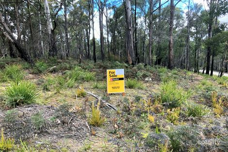 123 German Town Rd, St Marys, TAS 7215